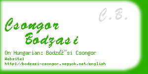 csongor bodzasi business card